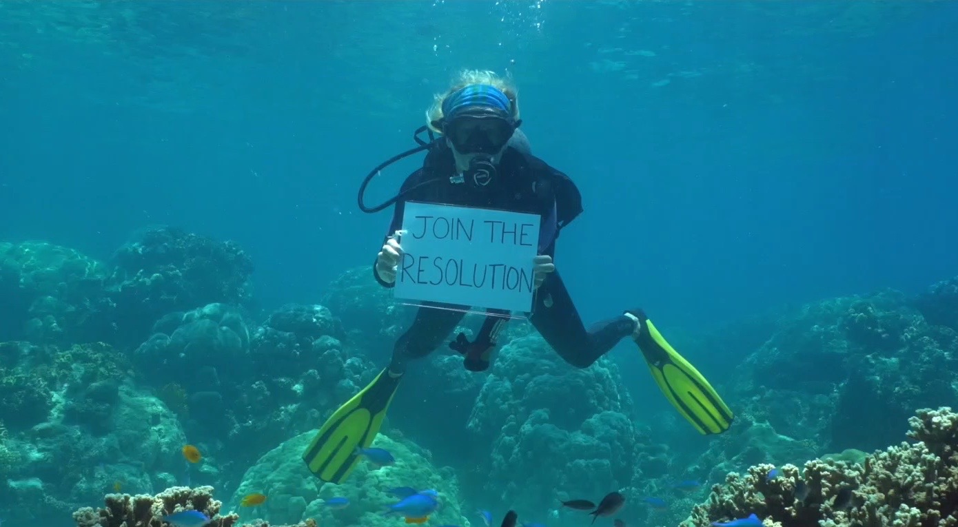 The Great Barrier Reef Foundation